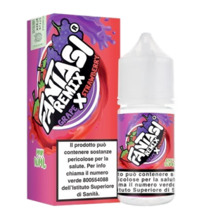 FANTASI - GRAPE X STRAWBERRY ICE - 10+10 MIX10 1