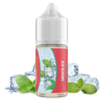 SVAPONEXT - MENTA ICE - 10+10 MIX10 1