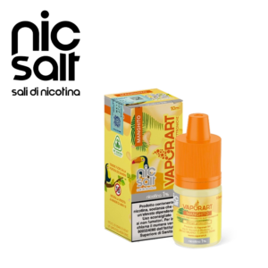 VAPORART - MANGHITO - NIC SALT 10 ML 1