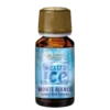GOLDWAVE - ETNA - EXTRA ICE AROMA 10 ML 1
