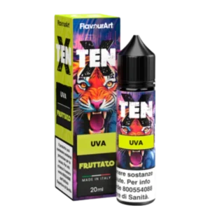 FLAVOURART - MANGO X TEN - 20 ML MIX60 1